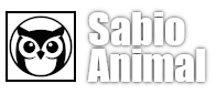Sabio Animal
